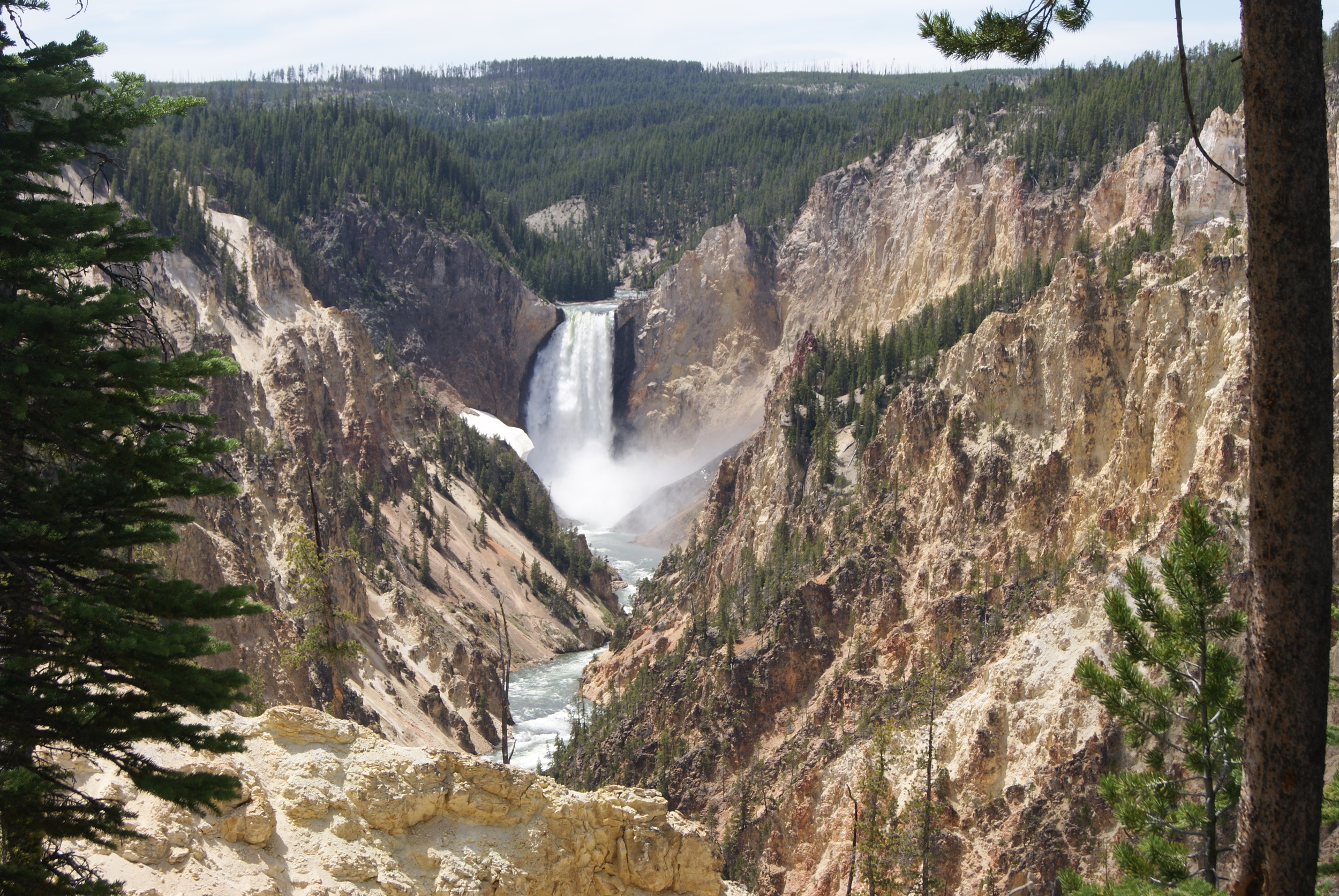 Yellowstone