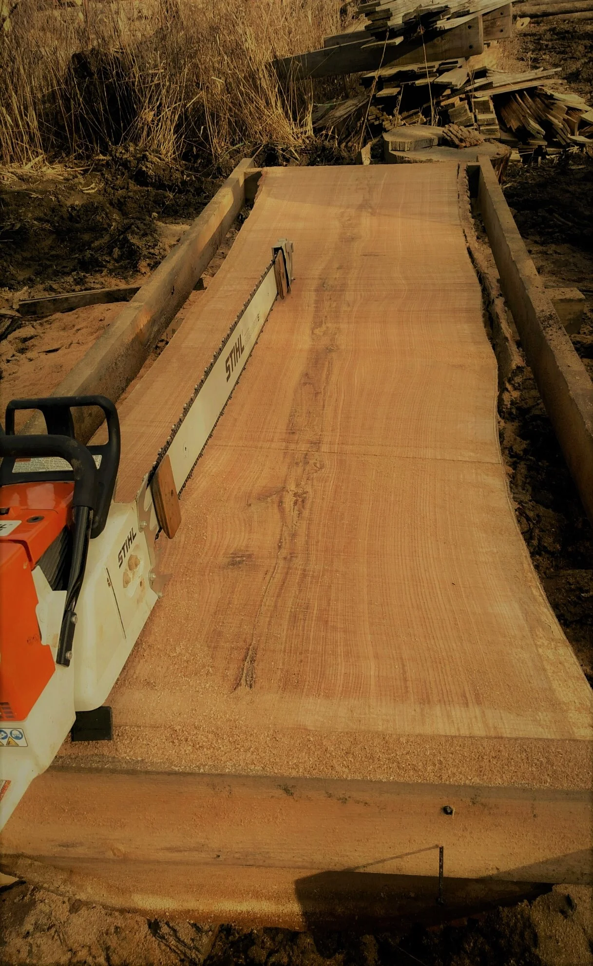Live Edge.jpg