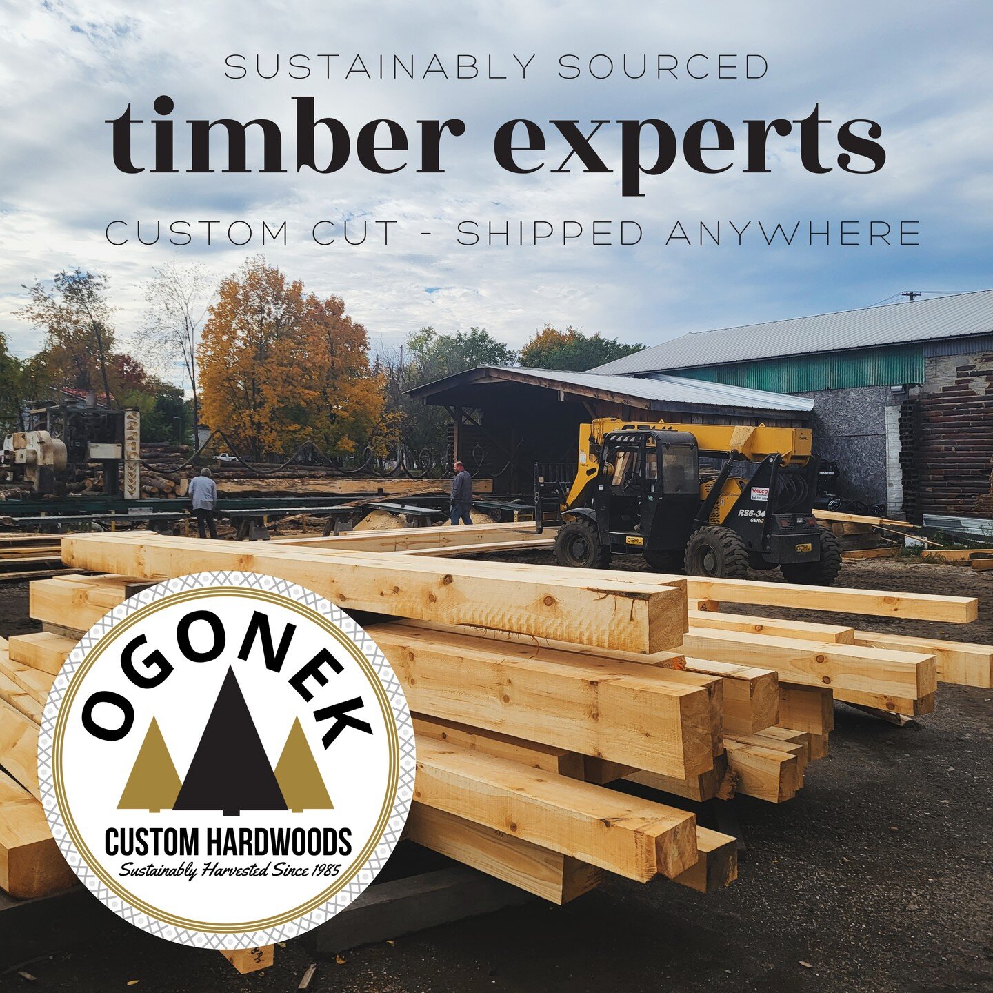 We are a sawmill with special expertise in custom cutting beams and timbers for your timber frame or other home improvement project including decorative beams and mantels. We can cut lengths up to 52 feet long in a variety of species native to Northe