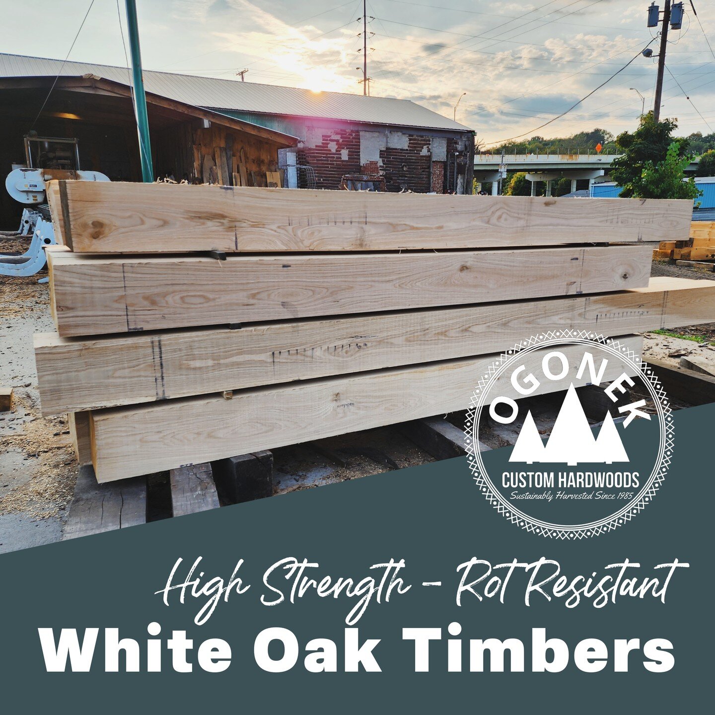 Gorgeous white oak timbers and logs in our yard right now. Contact us to order yours today!

White oak is a favorite choice for exterior applications due to its high rot-resistance. Light brown in color with an olive cast, white oak works and finishe