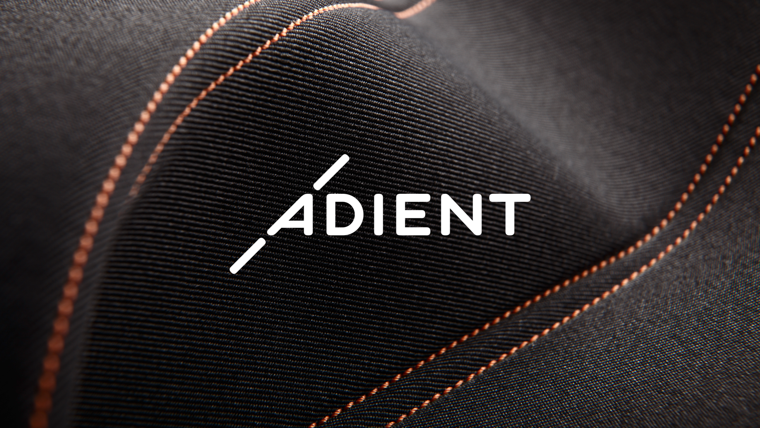 Adient Hero.png