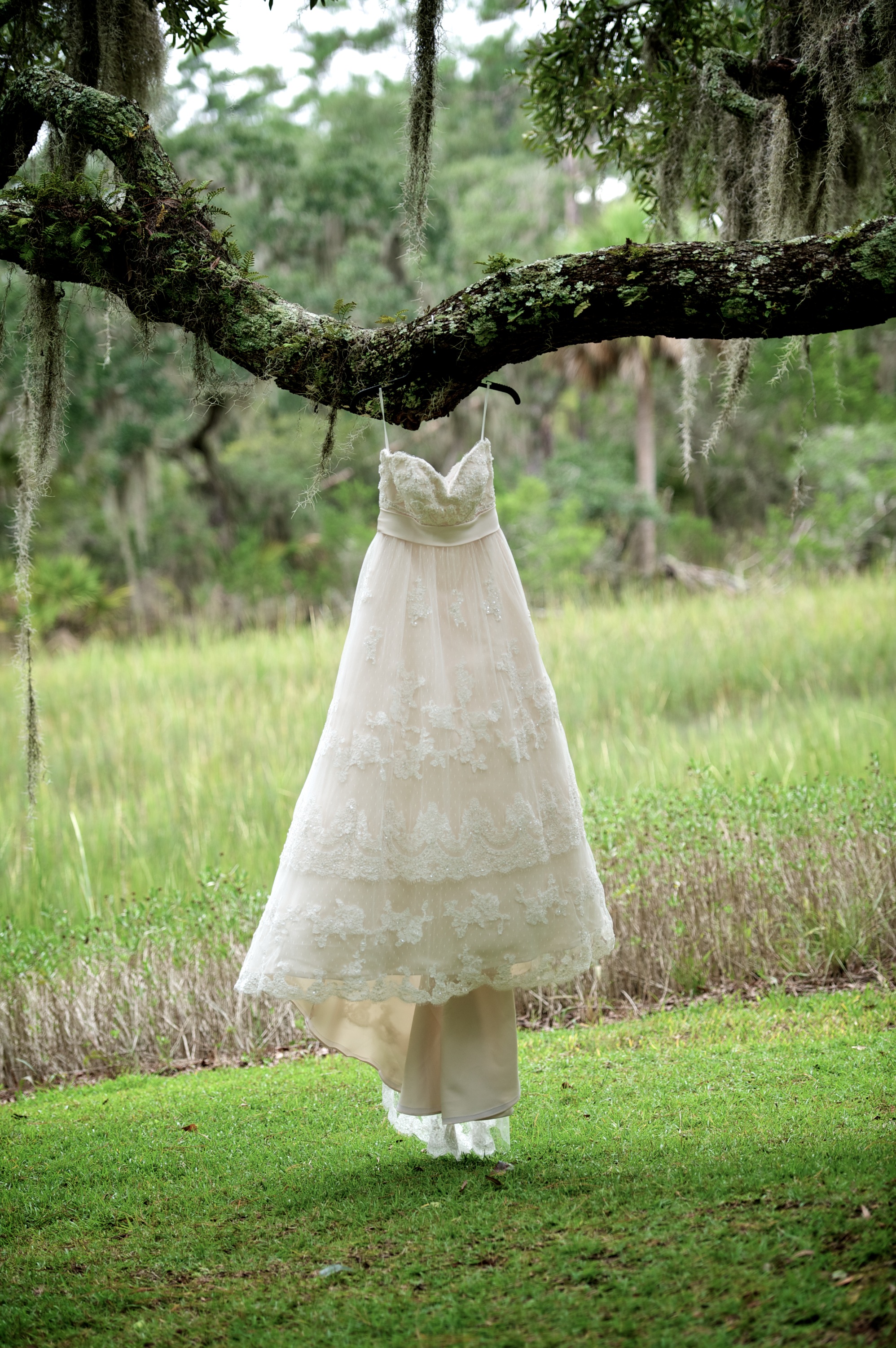  Lauren and Alex's Wedding in Bluffton, SC on the May River 