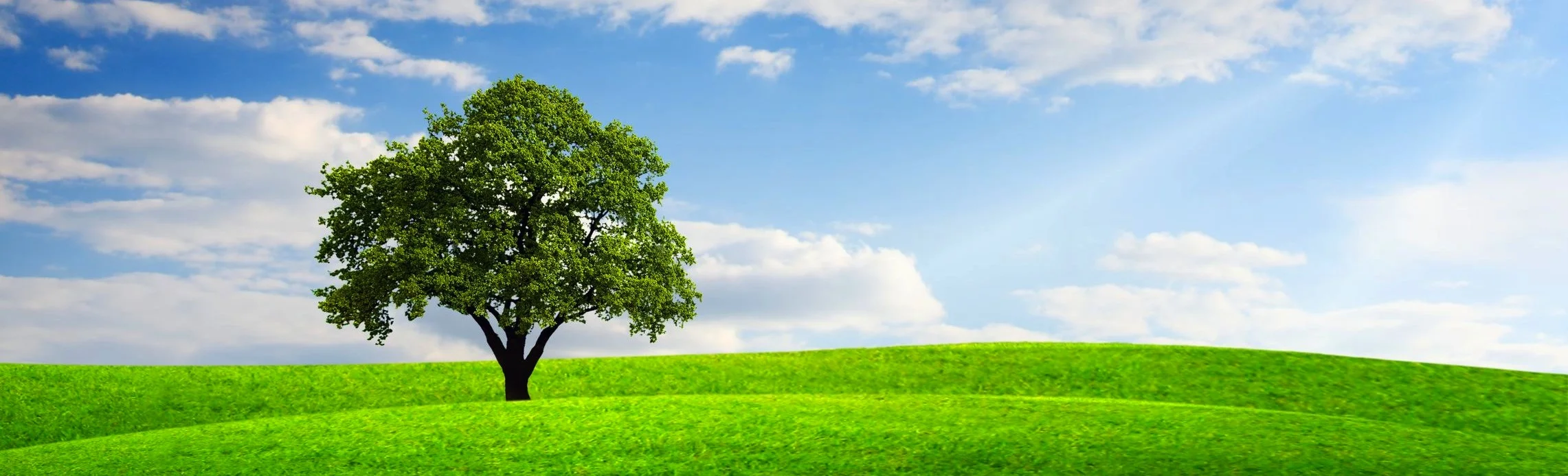 Fort Collins Loveland Certified Financial Planner and Financial Advisor
