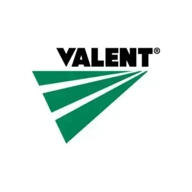 valent.webp