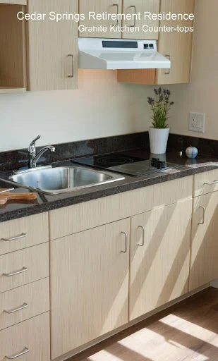 Kitchen Counter-top.jpg