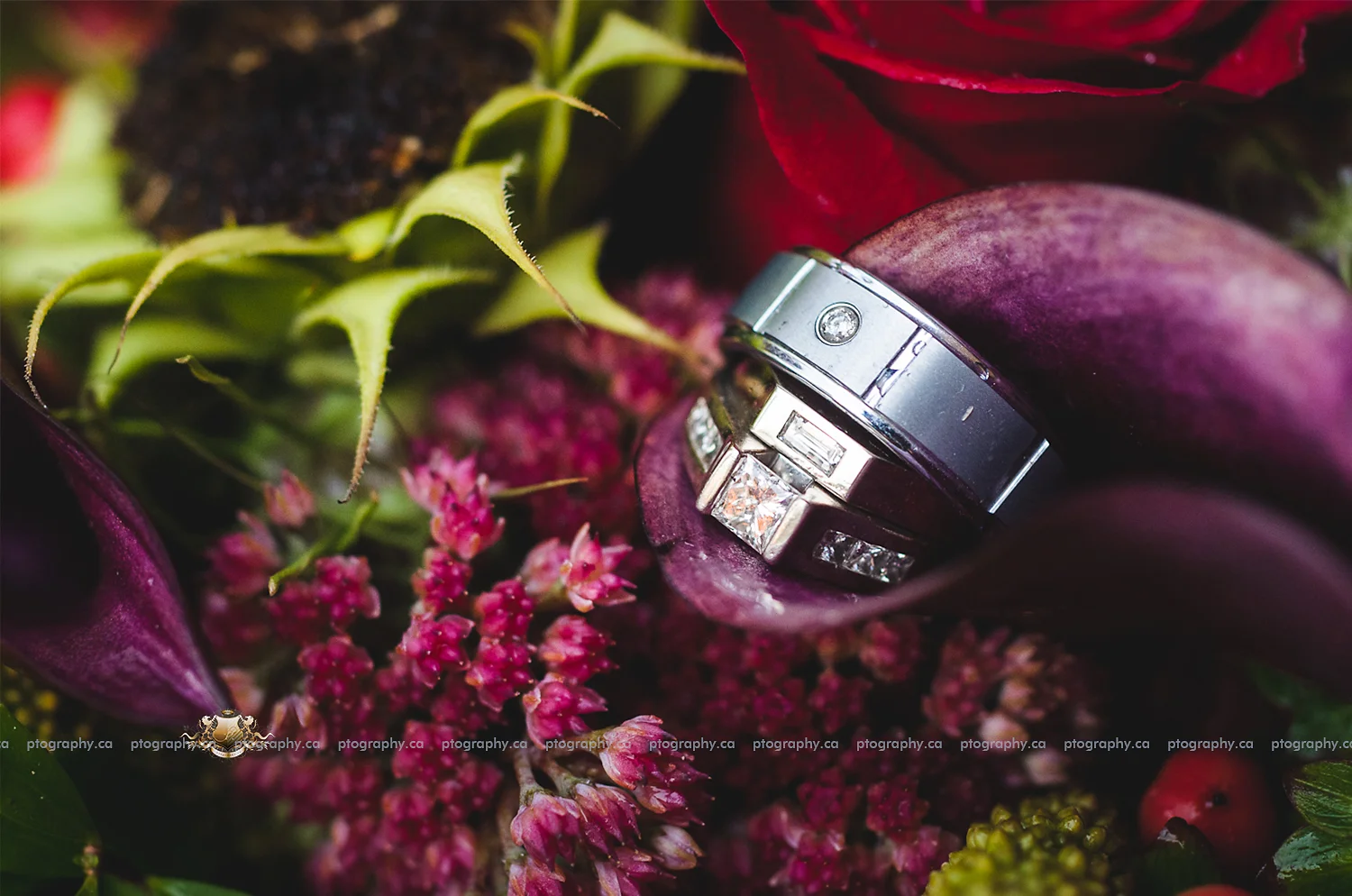 Trena & Brock - Married in the Rain