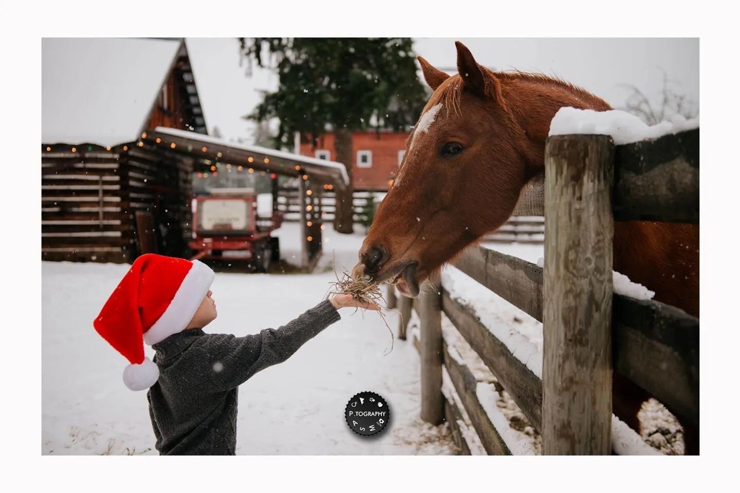 These Rustic Cabin sessions are my new favorite holiday must have moments 🤩

They were sold out, but we have added extra limited spots for those looking for that last minute perfect gift for their family.

 Message for details!

🎄🌟📸🐴 Happy holid