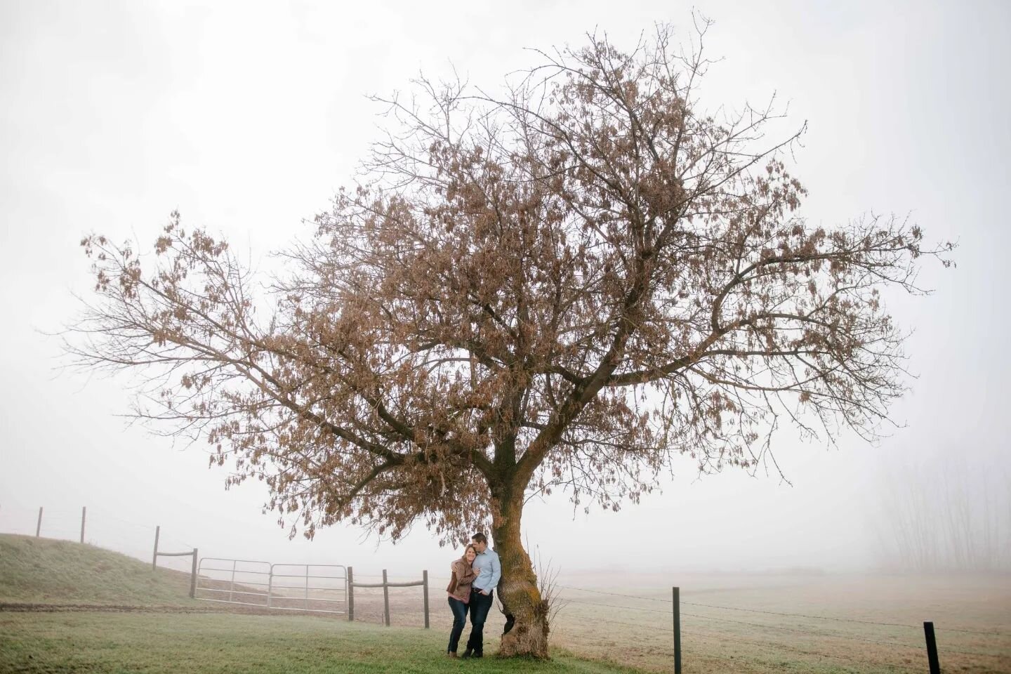 How can you not love a foggy farm family photo vibe?!

This set is chalk-full of amazing people AND snaps 🤩

#family #familyphotos #familyphotography #familyphotographer #foggy #farm #farmlife #love #itsalifestyle #organic #salmonarmfamilyphotograph