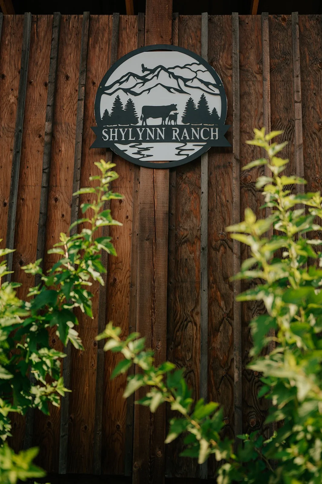 Salmon Arm Wedding Photography at Shylynn Ranch