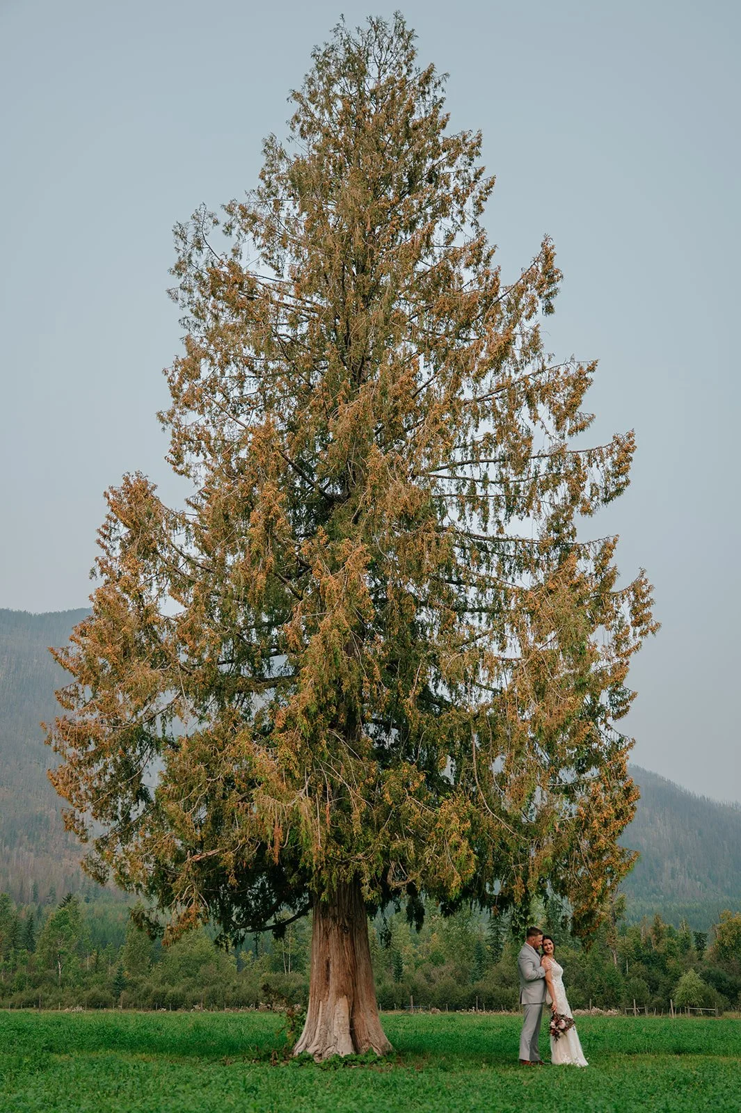 Wedding photography in Salmon Arm at Little Creek Ranch