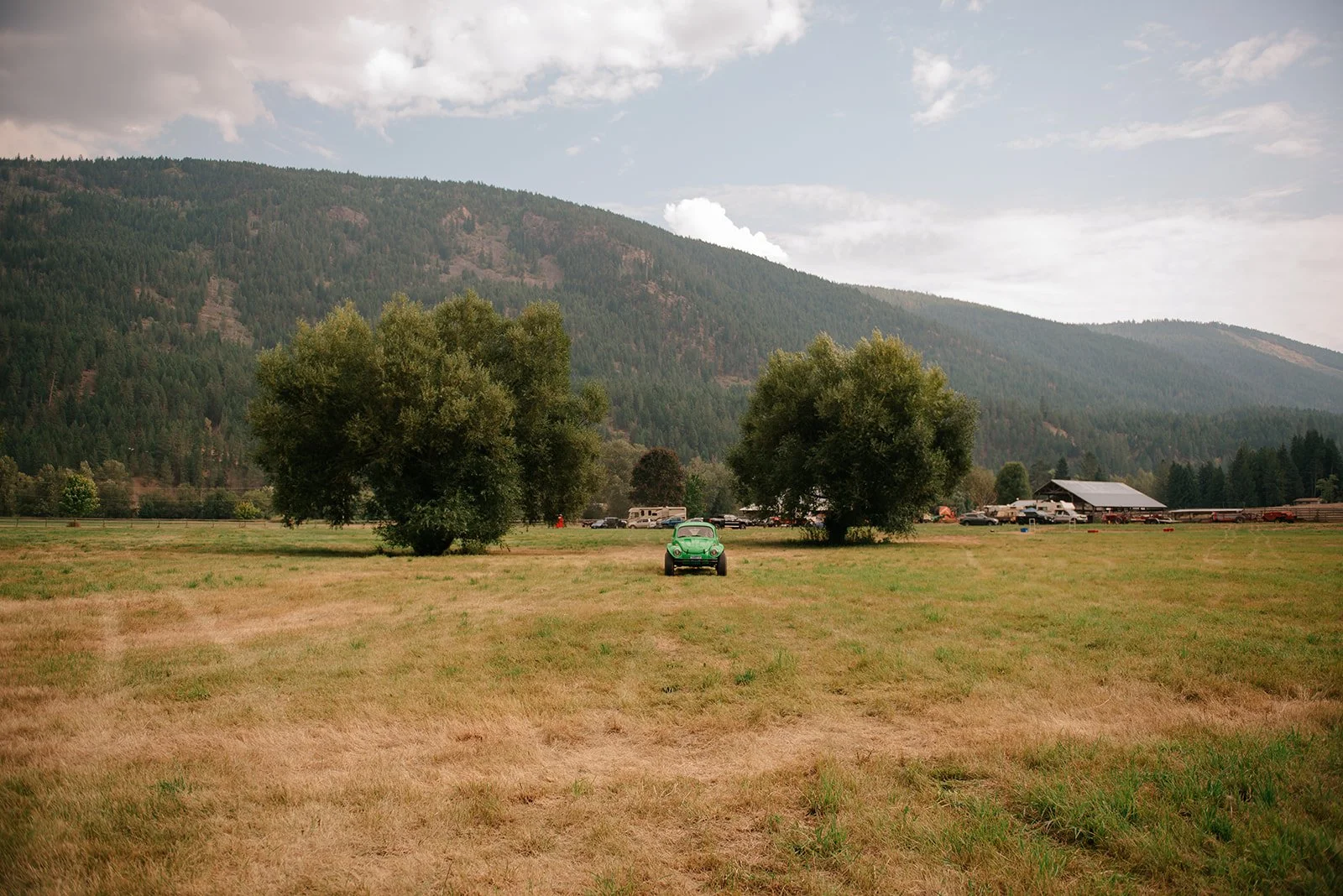 Wedding photography in Salmon Arm at Dolan Creek Farms
