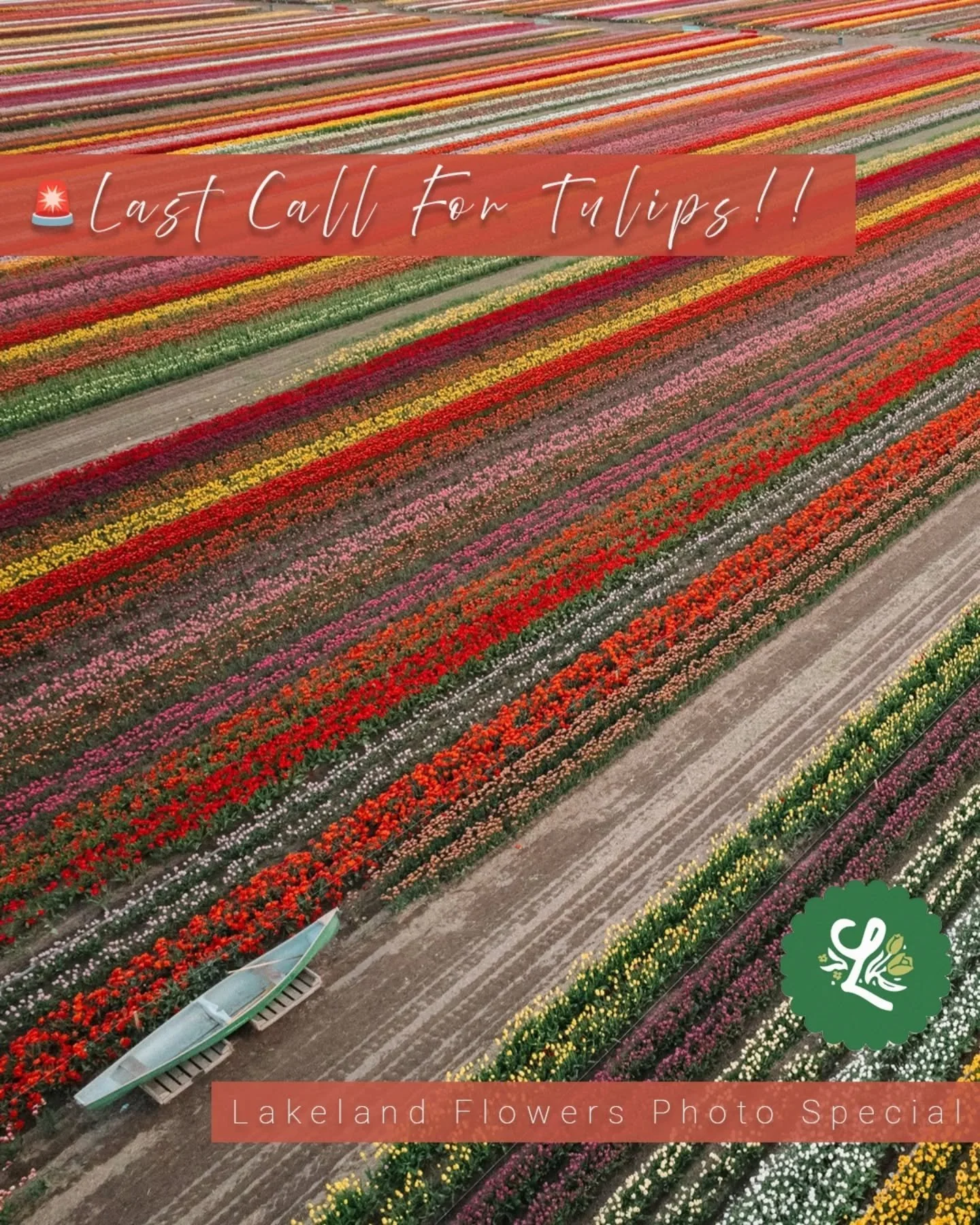 STOP SCROLLING 🛑 The tulips are peak blooming!

I&rsquo;ve opened up a few last-minute spots for families and couples to join me at Lakeland Flowers Apr 24-26. 🌷

There is something so cinematic about 27 acres of pure color. Whether you need an upd