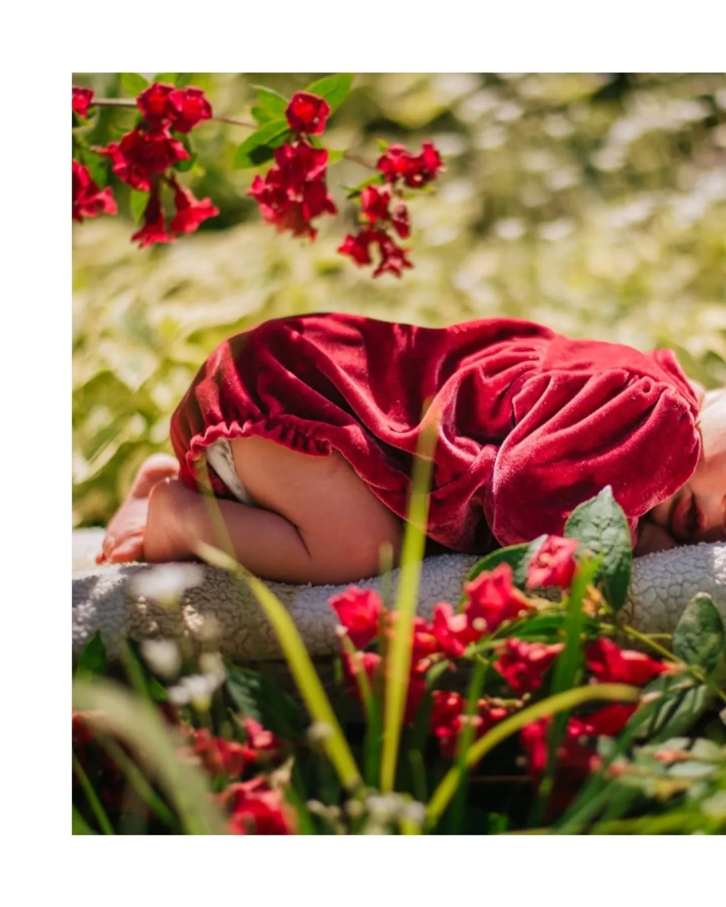 In keeping with the tradition of working with returning clients, this family has stepped in front of my camera a few times over the years, and this time, it's to welcome a new family member. 

Isn't she lovely?!

🤩