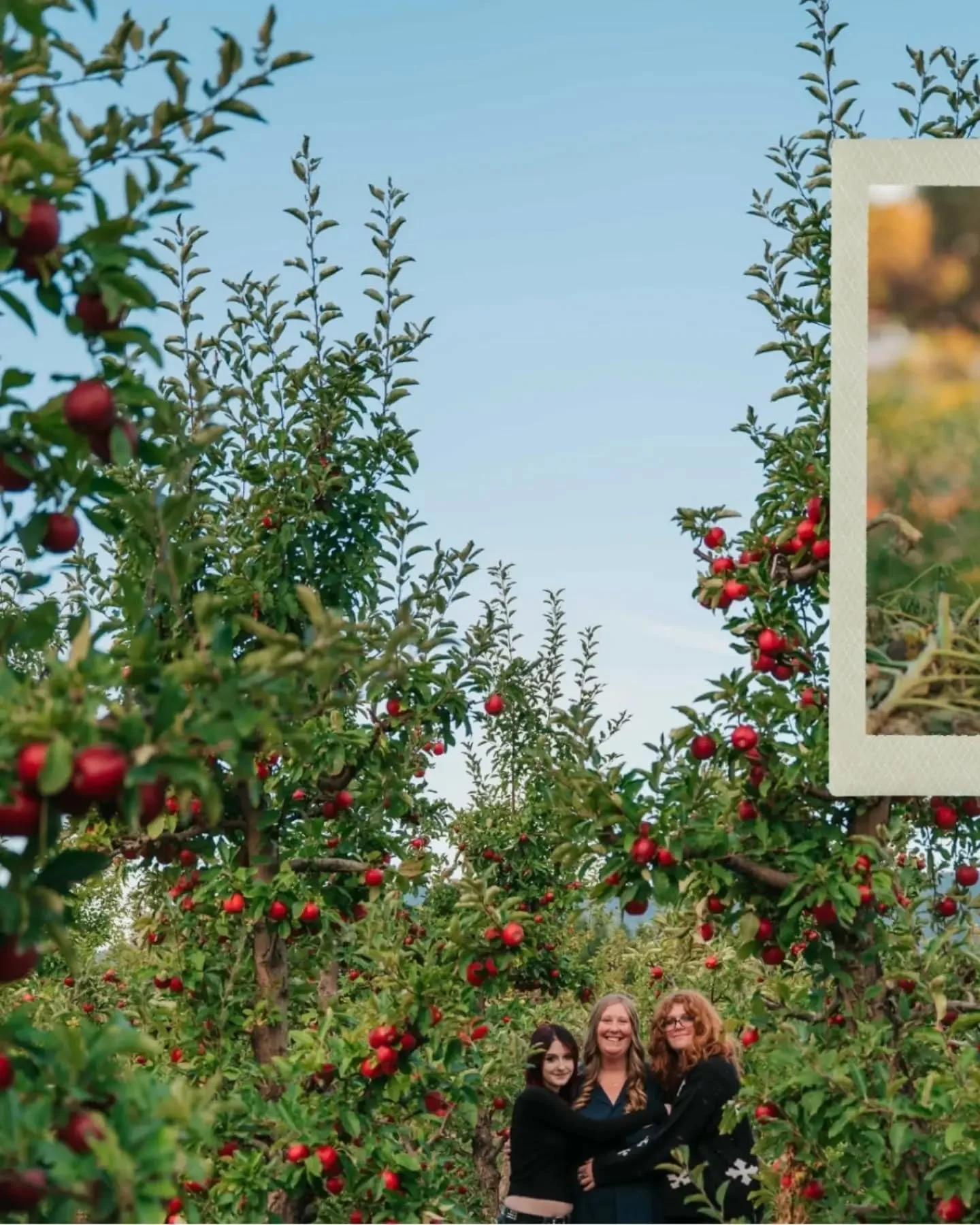 The 9th annual Unbe"leaf"able fall photo special is officially underway and once again the Turland family has stepped in front of my camera for more memories to add to their walls.

I can truly appreciate families who come back every year t