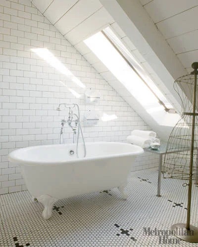 python bathroom.jpg