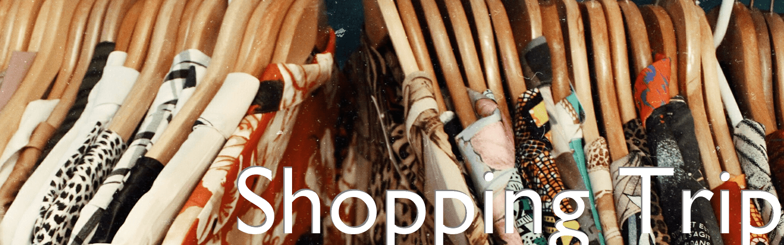 services-shopping-trip-1600x500.png