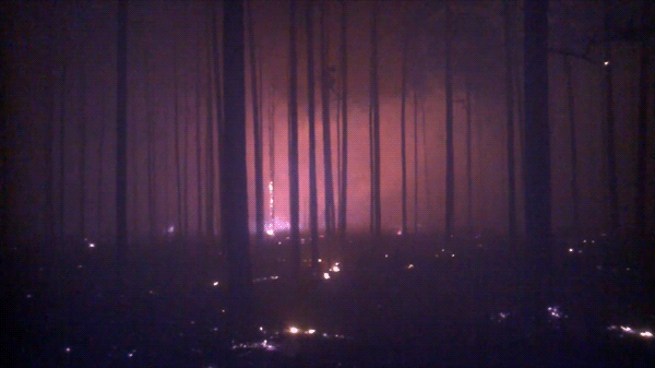 Okefenokee - Land of the Trembling Earth