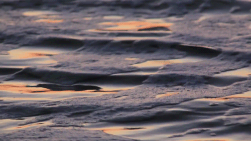 Visual Essay - Jekyll Island