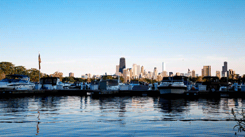 060614_Gif.gif