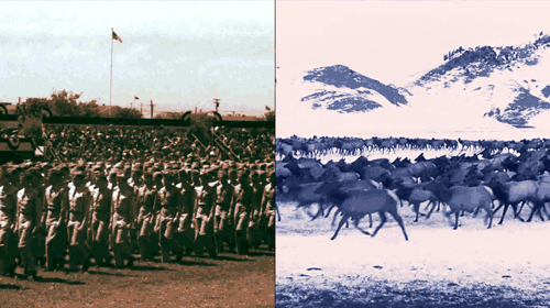 The Paradox of the Living