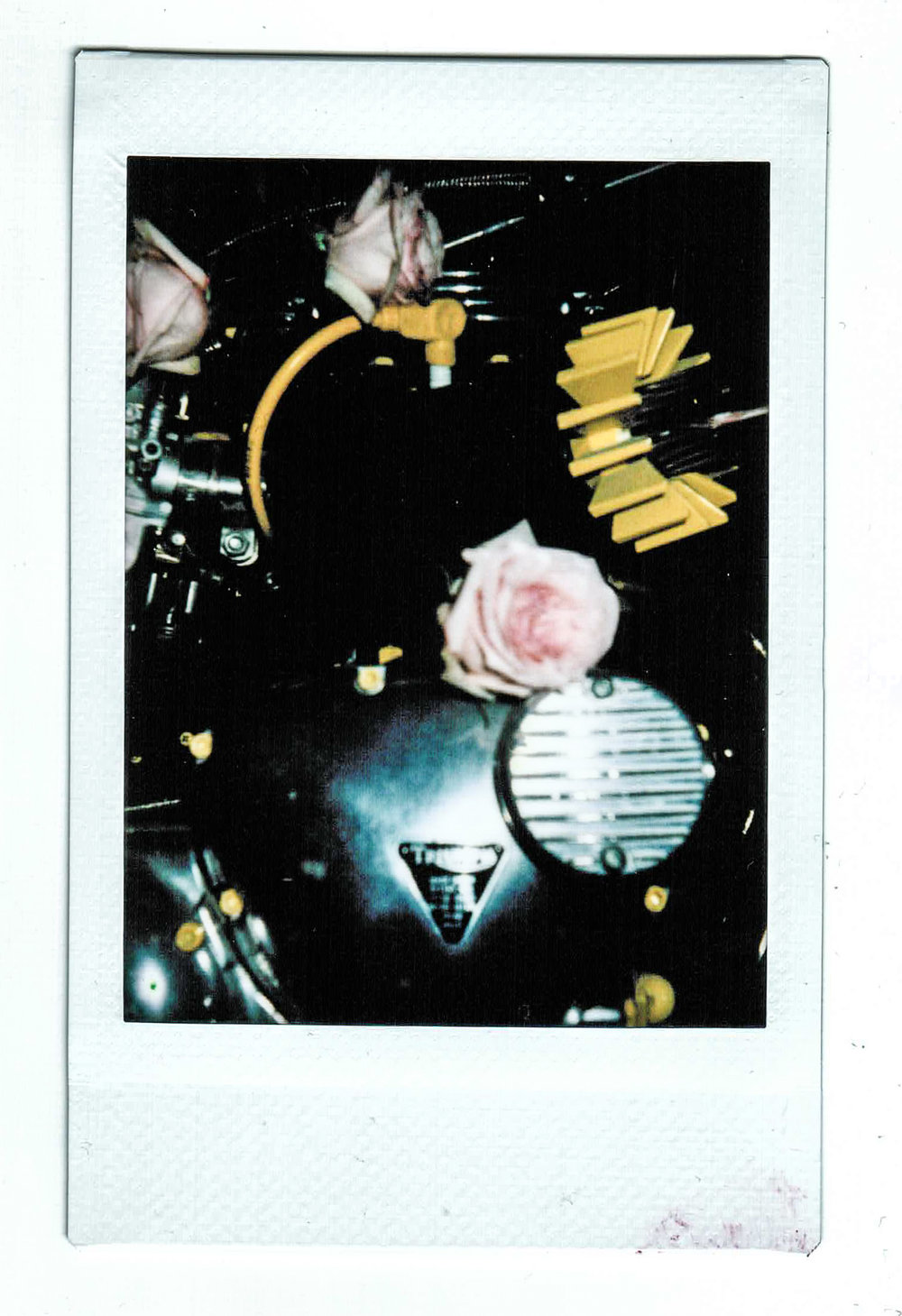 Polaroid-063.jpg