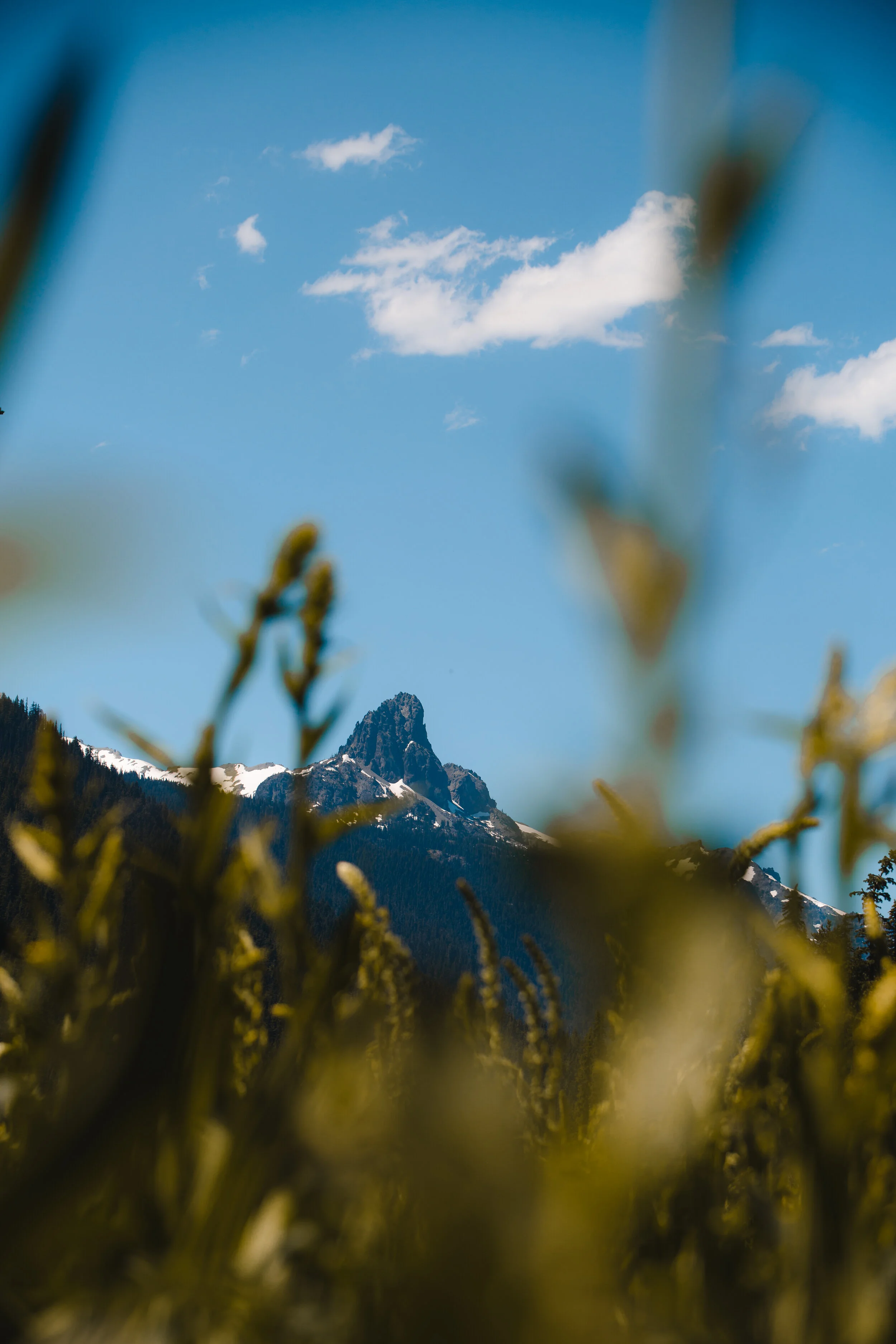 2018705-Snoqualmie-147.jpg