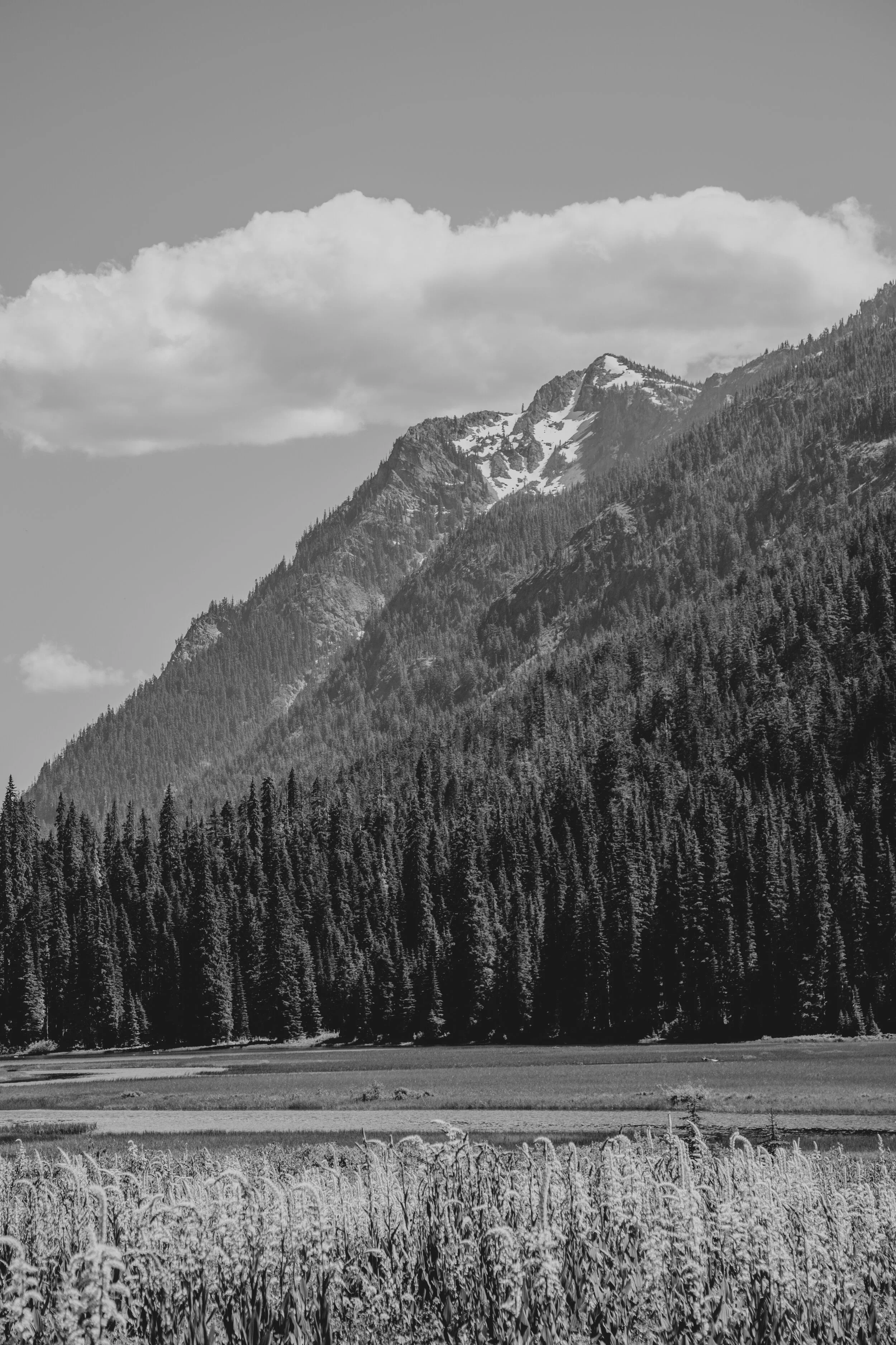 2018705-Snoqualmie-186.jpg
