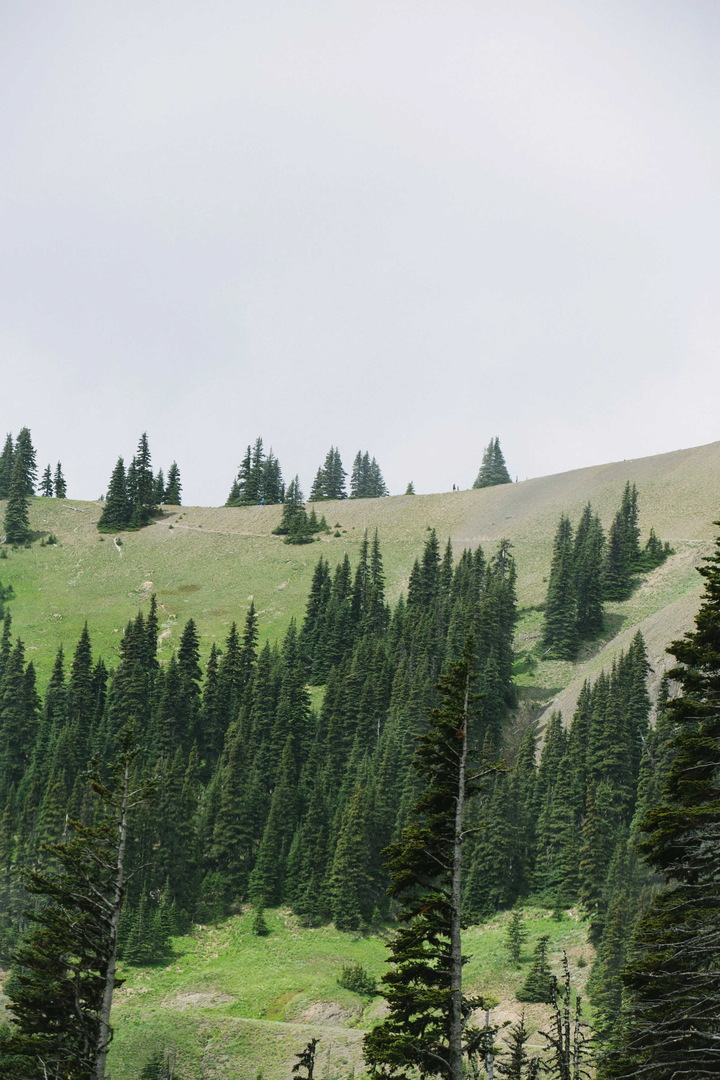 20180707-Olympia-301.jpg