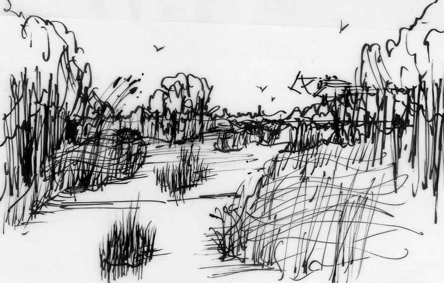 Mylar Sketch 5.jpg