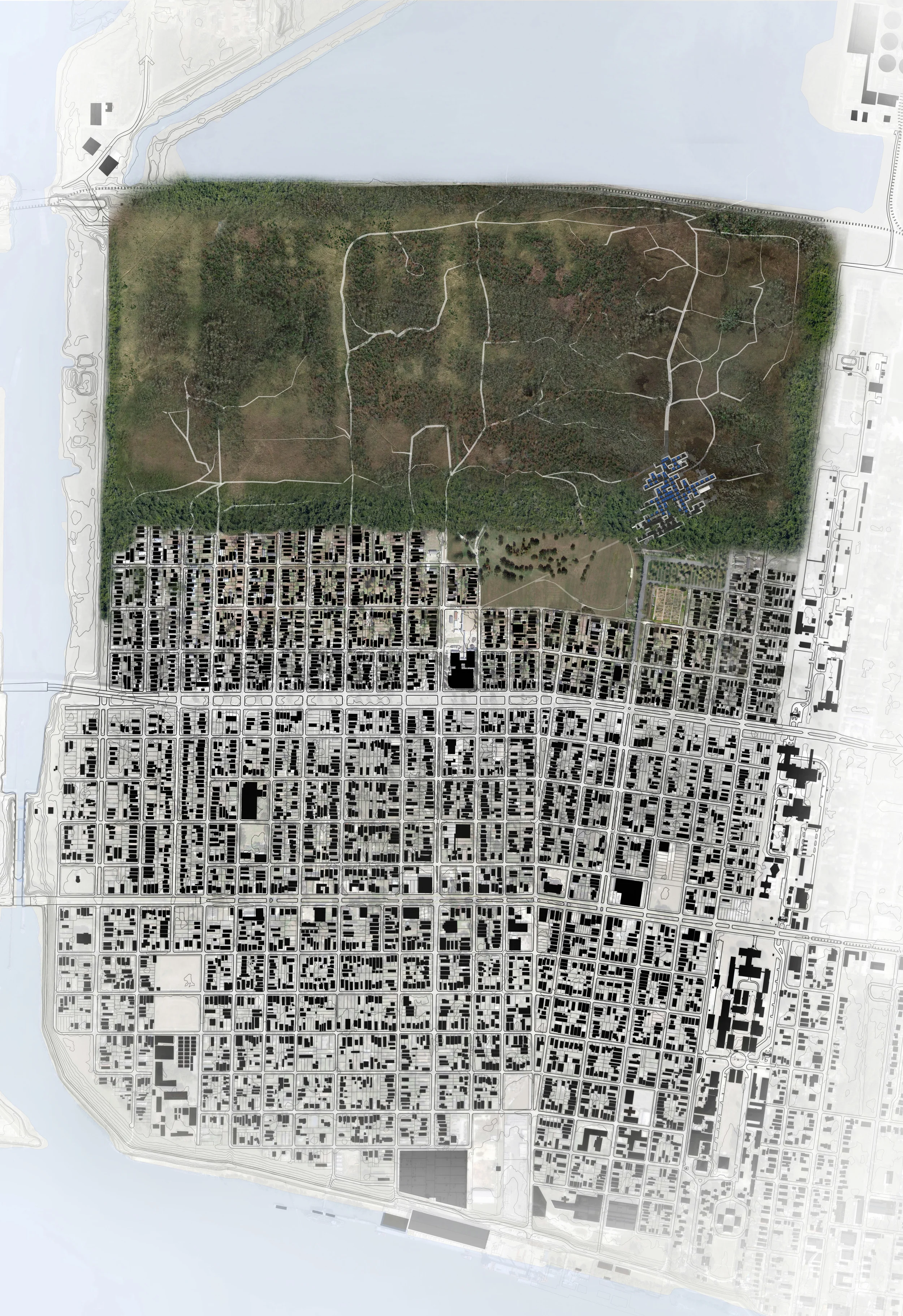 LOWER NINTH WARD SITE ECOLOGY MAP FINAL copy.jpg