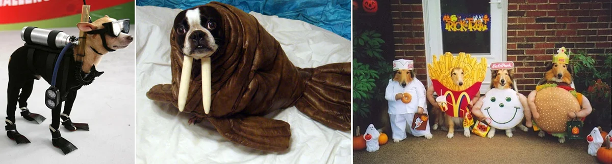 Hilarious Halloween dog costumes that might not be for every dog