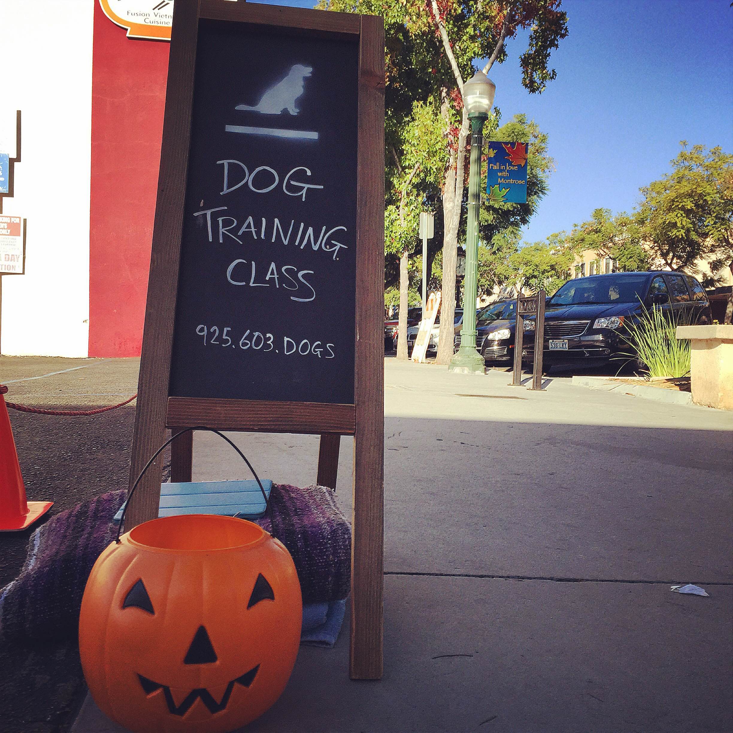 A Tully's Training dog Halloween Group Dog Training Class in Los Angeles