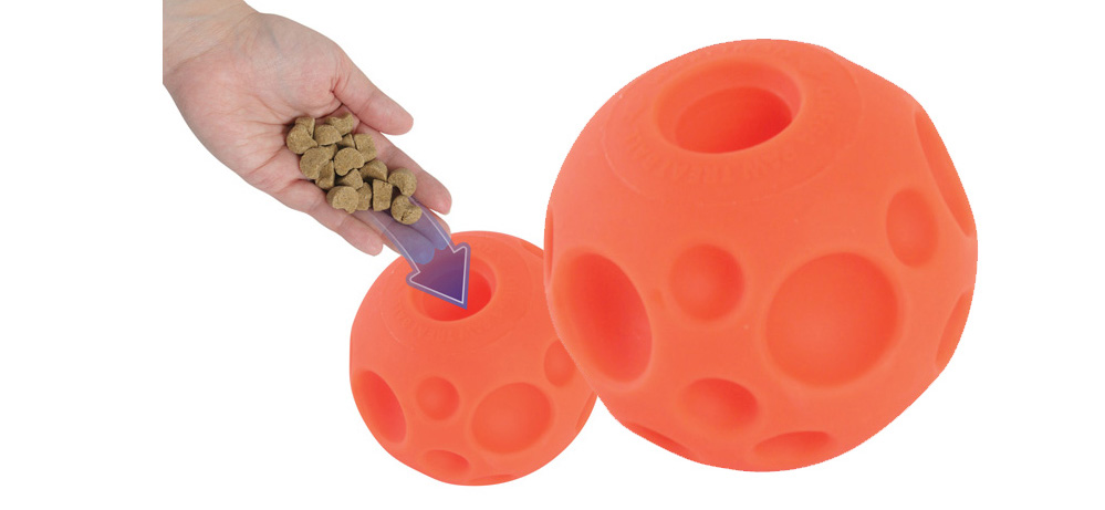 foraging balls for dogs