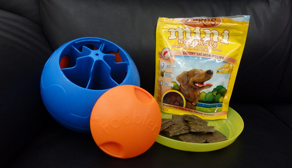 How To Pick the Best Dog Puzzle Treats and Toys for Your Dog – The