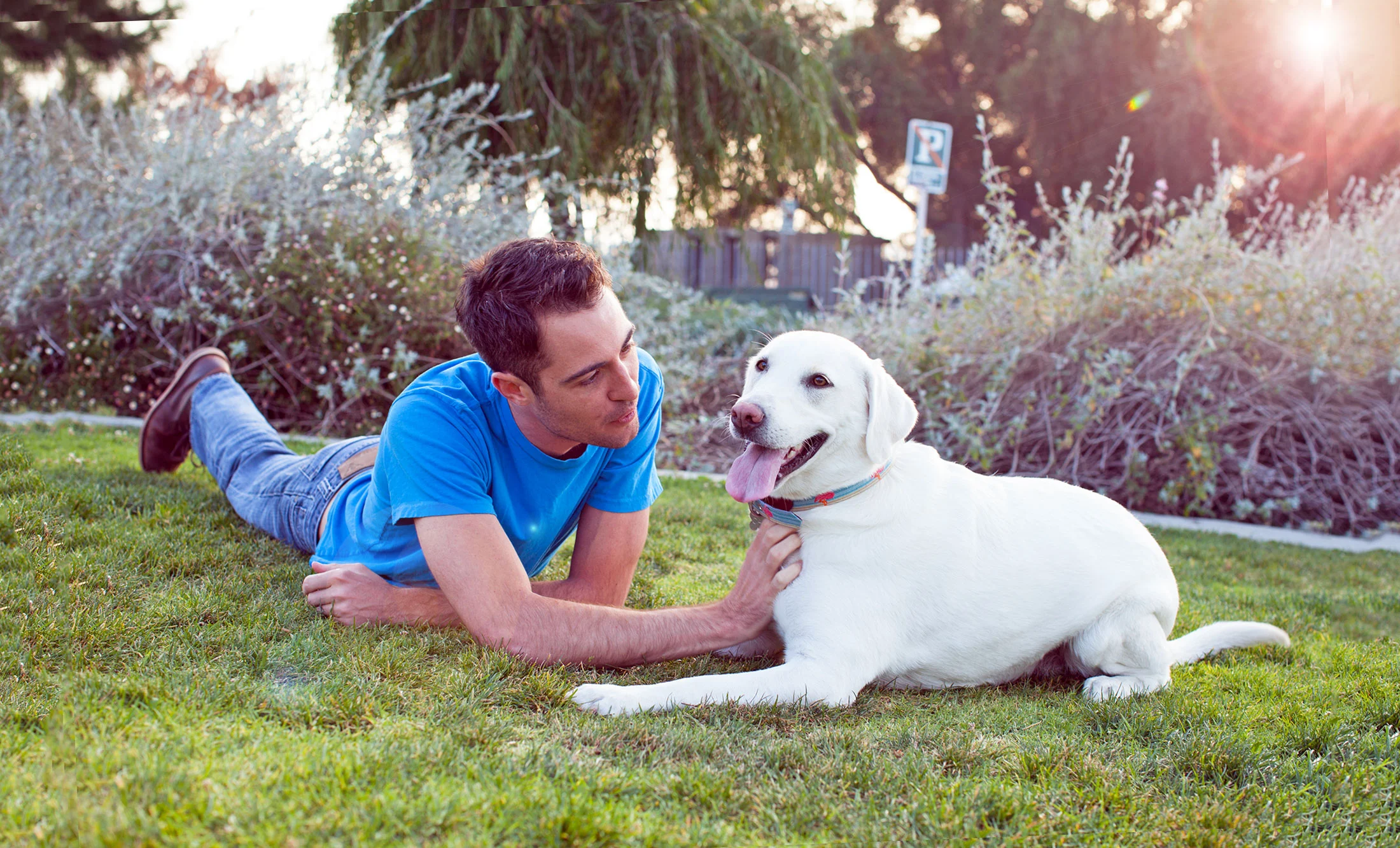 We have all 5-Star Reviews on Yelp It just goes to show that when you pair great dogs and dedicated owners with good training, you get incredible results. Los Angeles Yelp Page San Diego Yelp Page