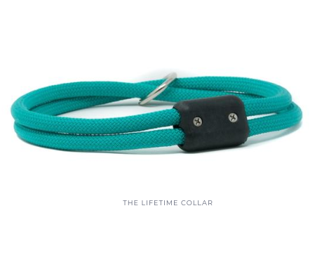 teal dog collar and leash