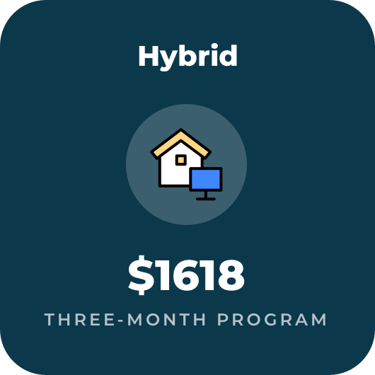 hybrid_3.png