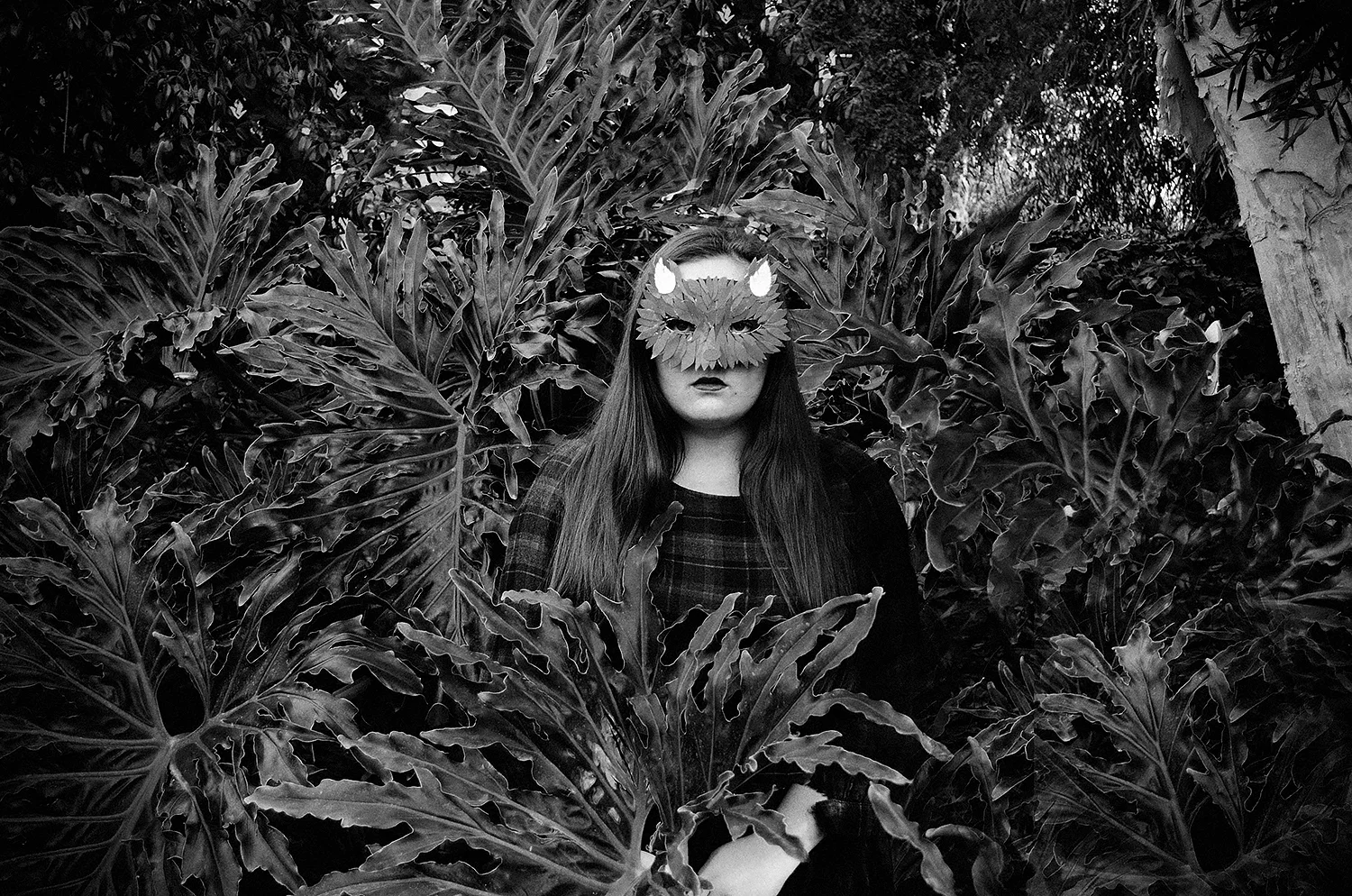 grace fox in the woods bw.jpg