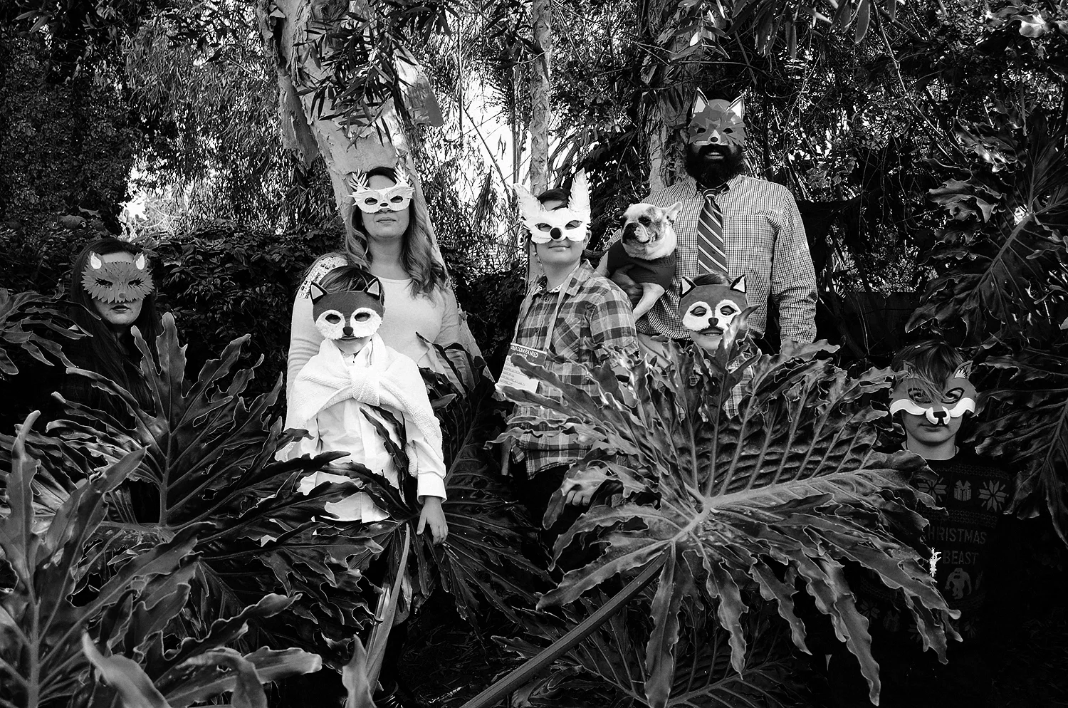 durkin 7 fox in the woods bw.jpg