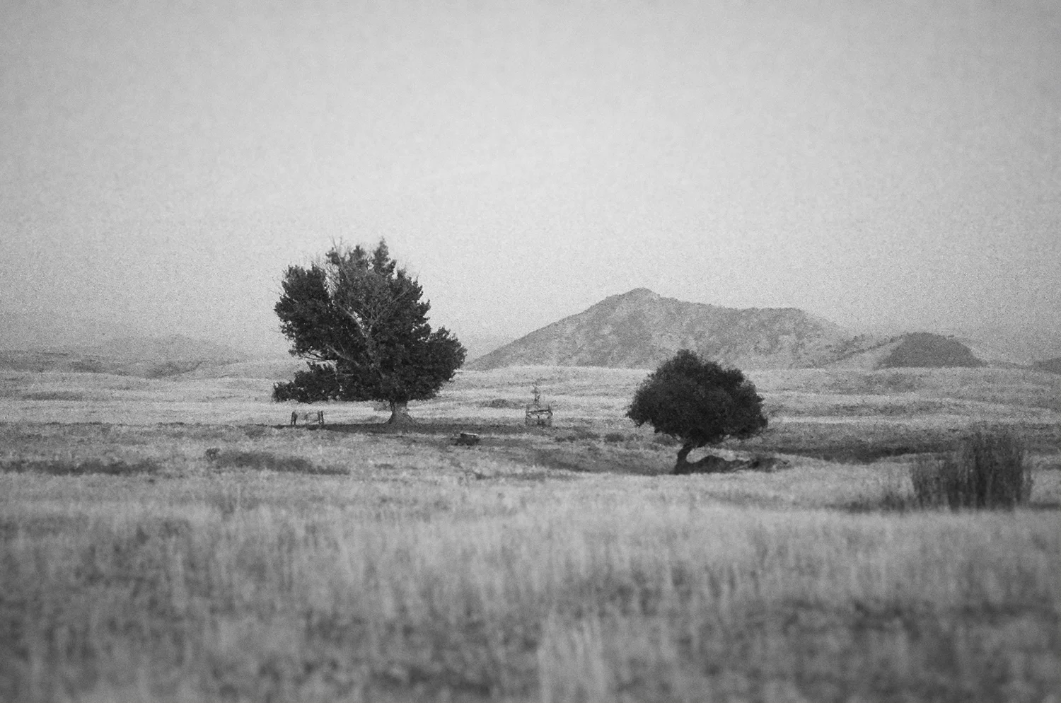 landscape study bw.jpg