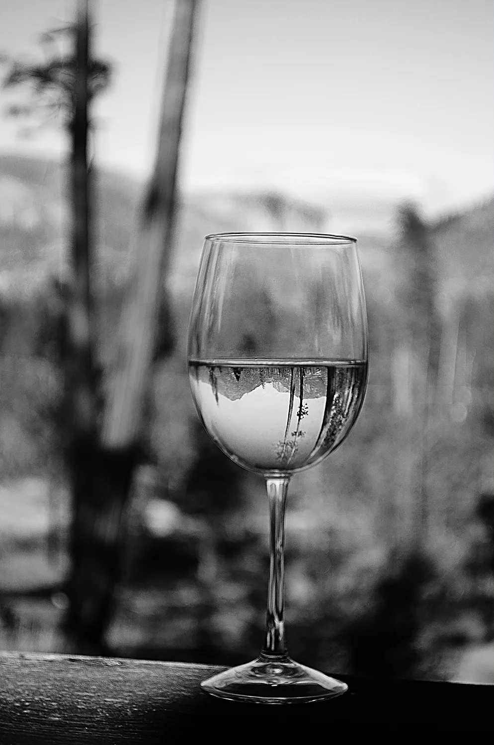 wine glass yosemite bw.jpg