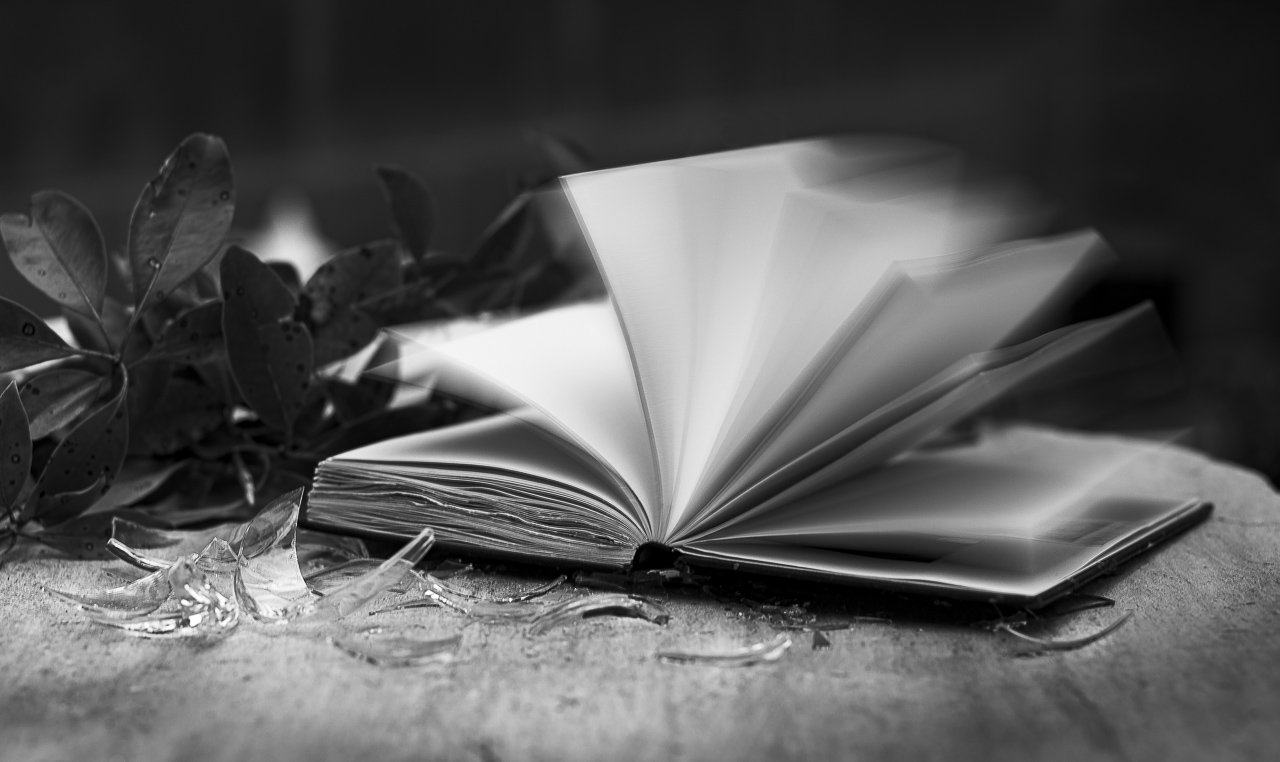 Falon_Renee_Photography_%22Journal1%22.jpg