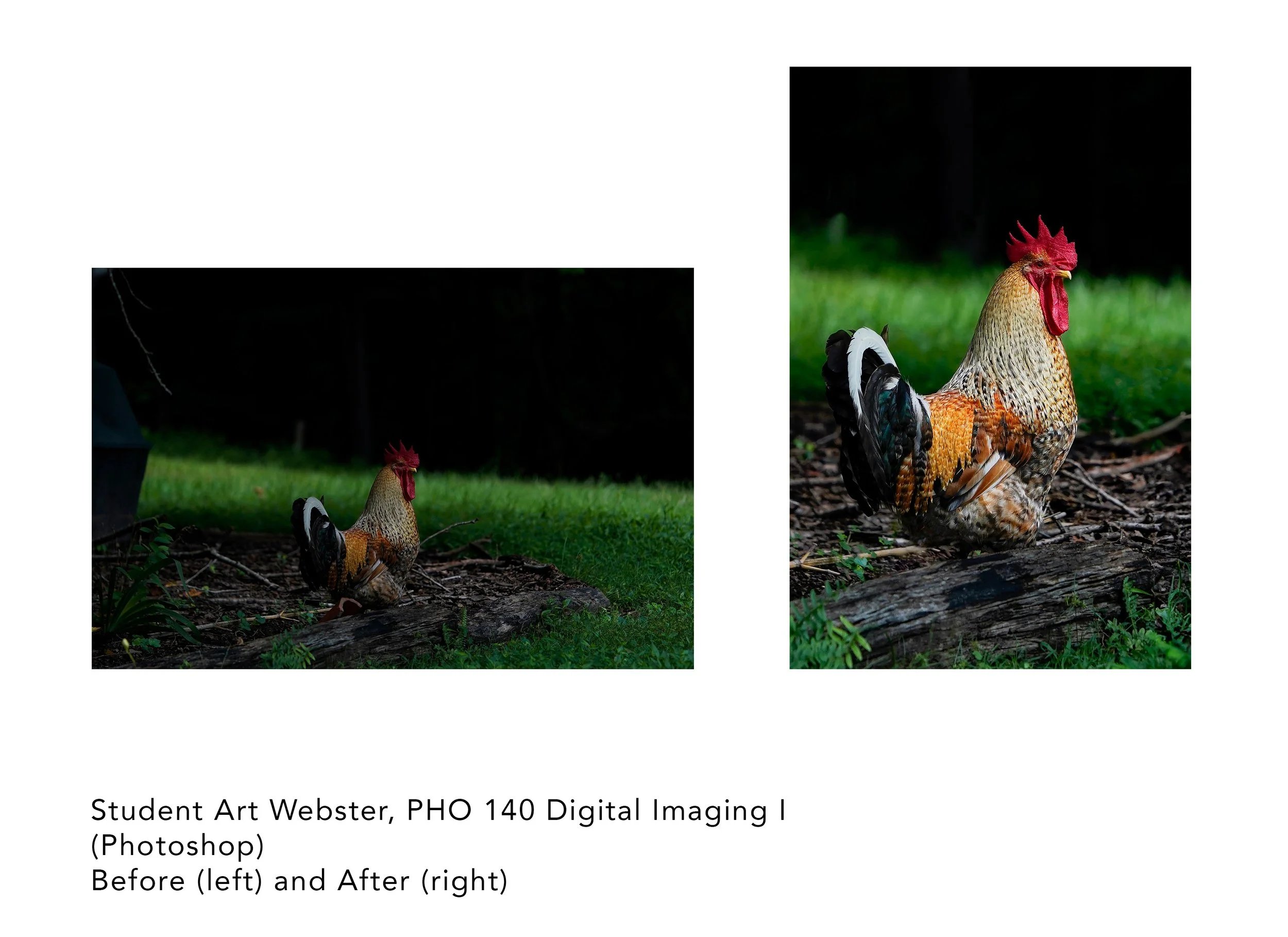 ArtWebster_before and after.jpg