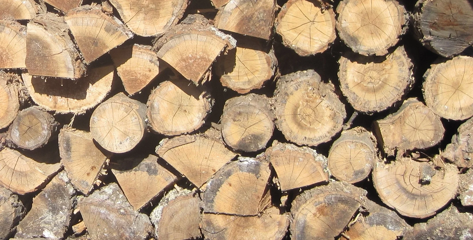 stacked firewood close up.JPG