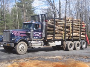Log Length Firewood — Ulster Forest Products, Inc.