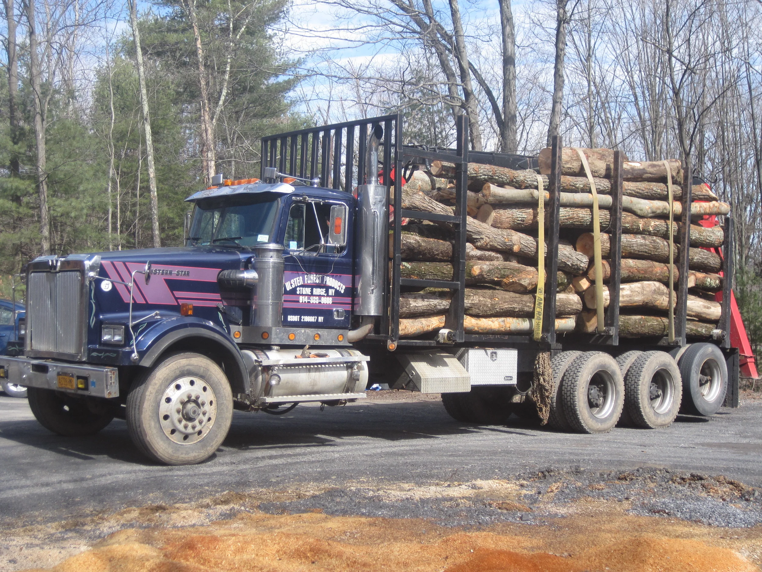 western star with firewood.JPG