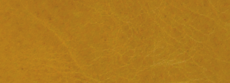 Mustard NL