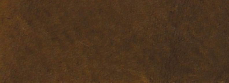Saddle NL