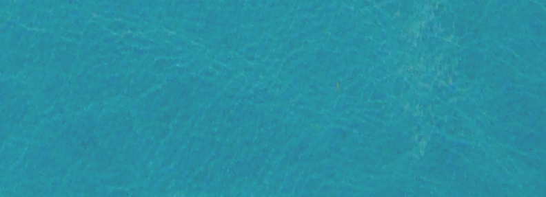 Aqua NL