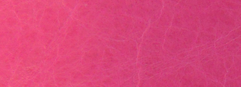 Magenta NL
